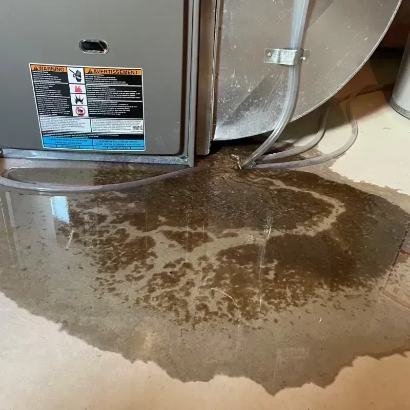 Appliance Leak Cleanup in Hazard, KY